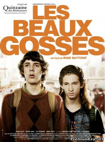 Красивые парни / Les beaux gosses (2009) DVDRip