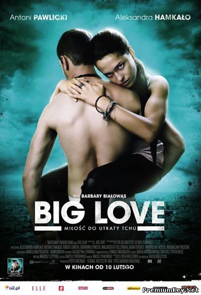 Большая любовь / Сука любовь / Big Love (2012) DVDRip