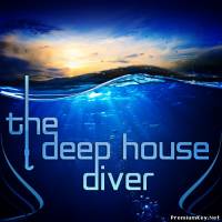<b>The Deep House Diver (2013)</b> скачать бесплатно