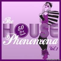 <b>The House Phenomena Vol.1 (50 Sexy Tracks) (2013)</b> скачать бесплатно