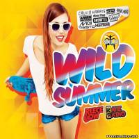 <b>Wild Summer 2014 (Reece Low & Rave Radio, 2CD) (2013) FLAC/mp3</b> скачать бесплатно