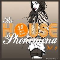 <b>The HOUSE Phenomena Vol.3 (50 Sexy Tracks) (2013)</b> скачать бесплатно