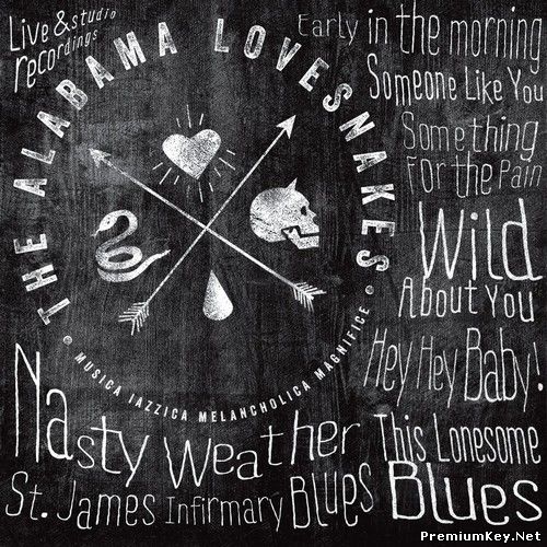 <b>Alabama Lovesnakes - Nasty Weather (2013)</b> скачать бесплатно