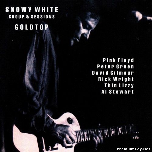 <b>Snowy White - Goldtop - Groups & Sessions 74-94 (1995)</b> скачать бесплатно