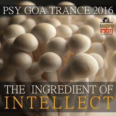 <b>The Ingredient Of Intellect: Psy Trance (2016)</b> скачать бесплатно