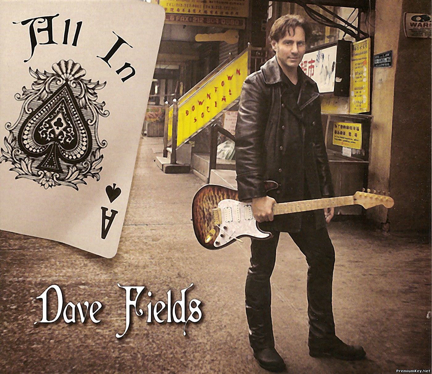 <b>Dave Fields - All In (2014)</b> скачать бесплатно