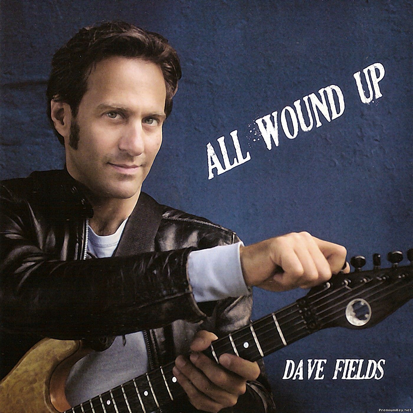 <b>Dave Fields - All Wound Up (2008)</b> скачать бесплатно