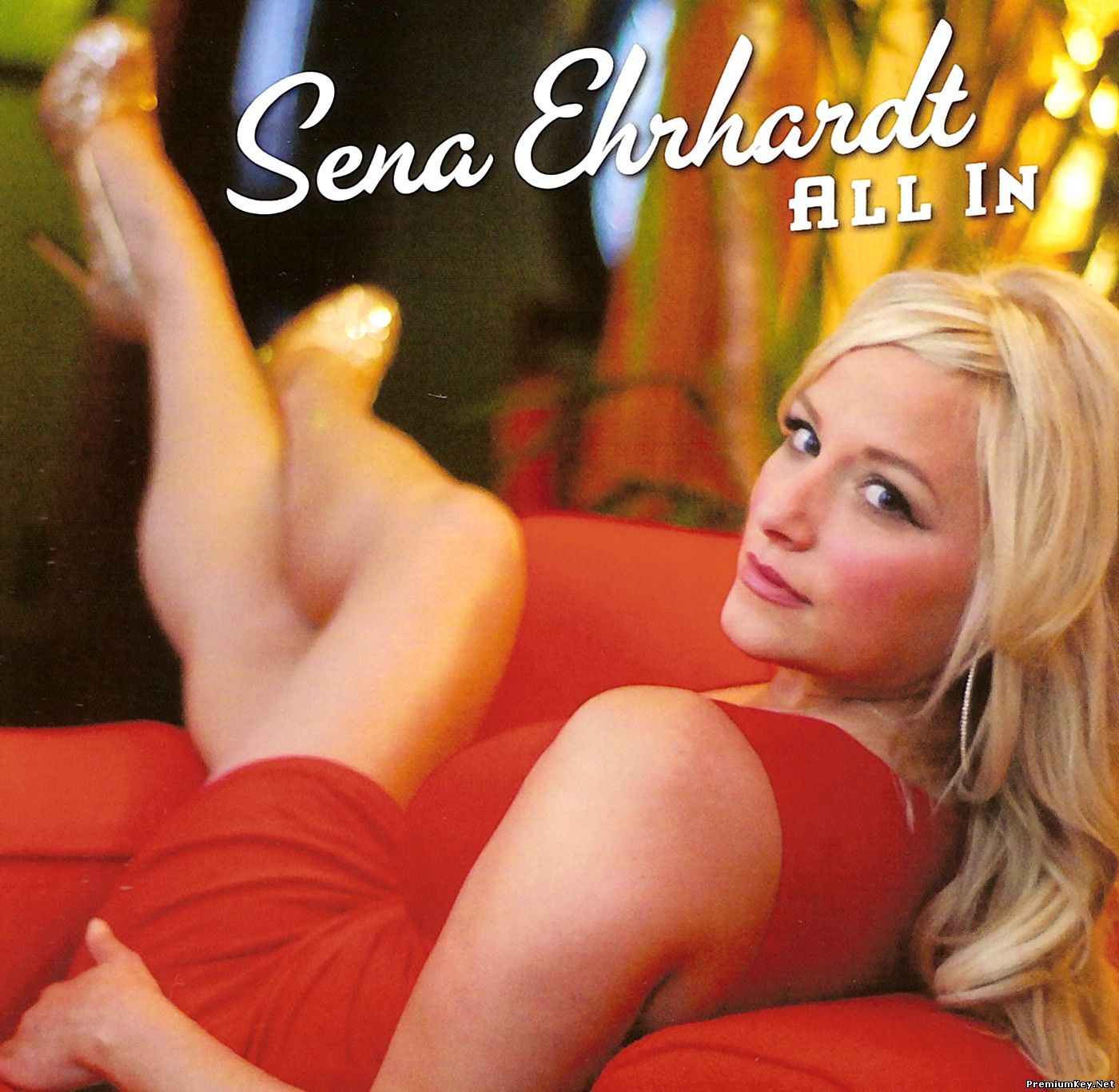 <b>Sena Ehrhardt - All In (2013)</b> скачать бесплатно