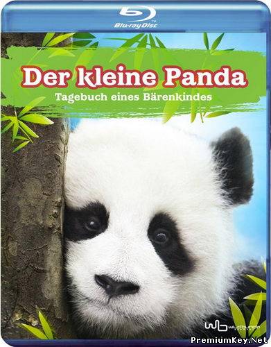 Panda Diary (2008) Blu-ray Disc