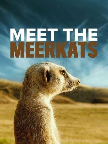 Знакомимся с сурикатами / Meet The Meerkats (2020) HDTV 1080i