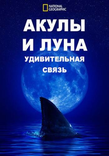 Акулы и Луна - удивительная связь / Shark Side of the Moon (2022) WEB-DL 1080p